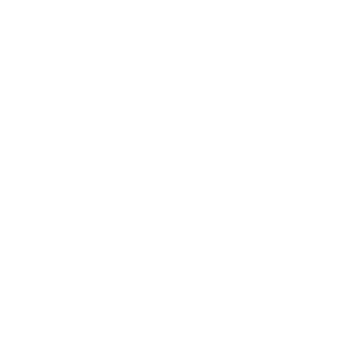 lbu-white-logo